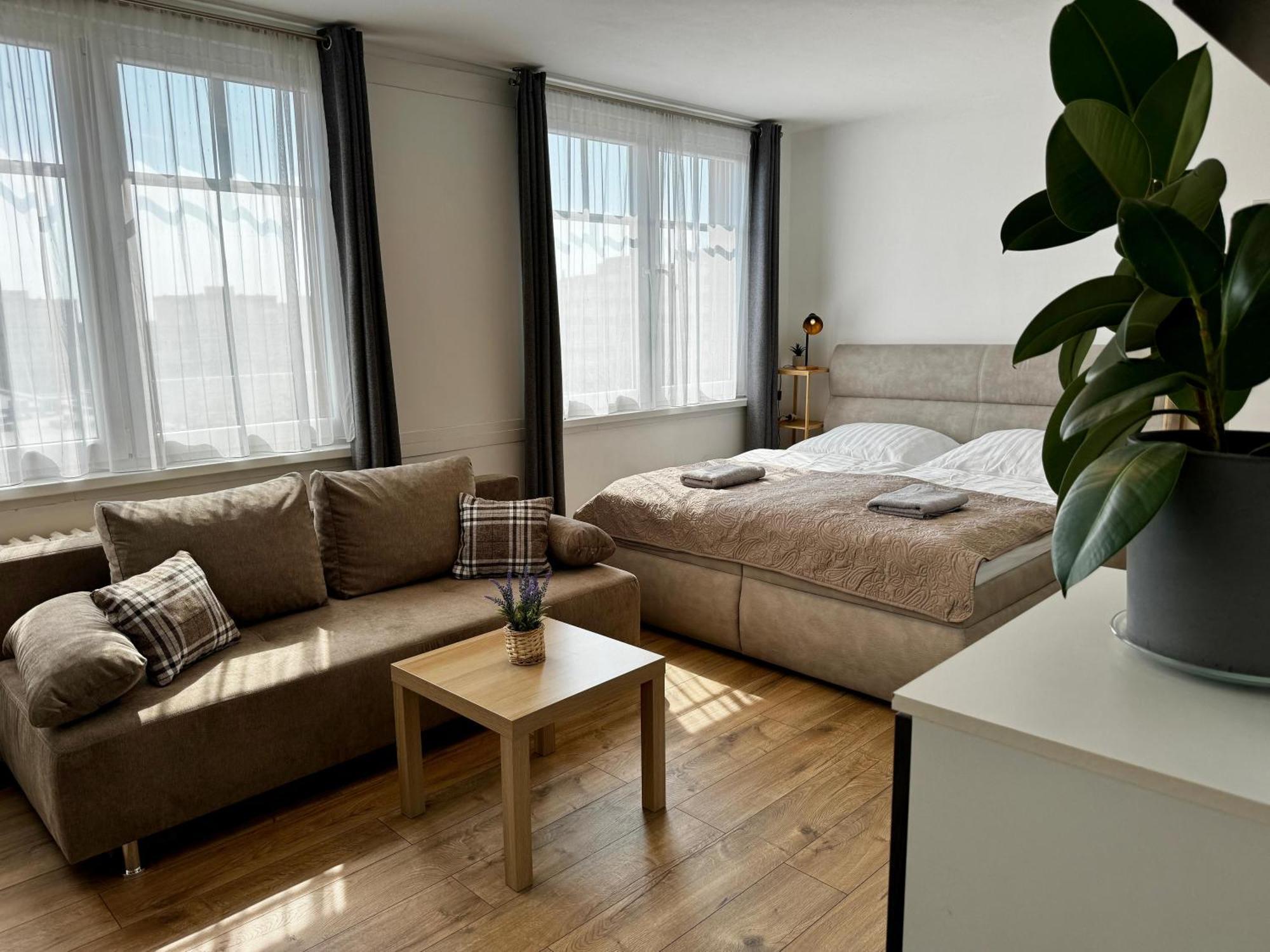 Smarty Choice Flat With Deluxe Kitchen Praag